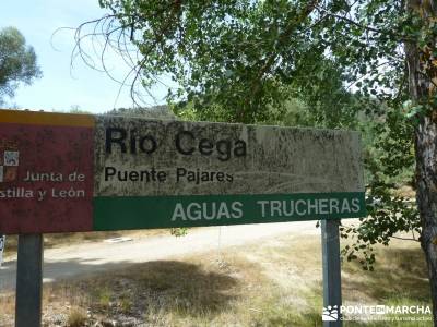 Cañones del Río Cega y  Santa Águeda  – Pedraza;senderismo niños hoces del duraton senderismo